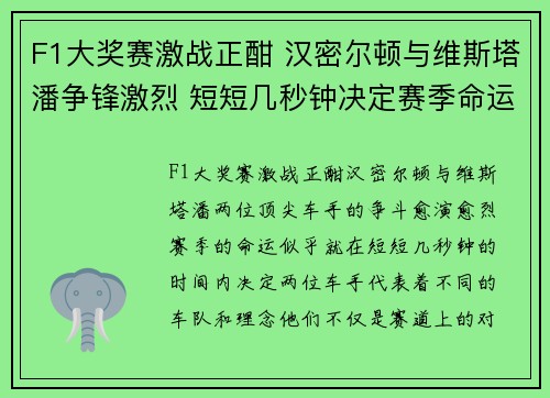 F1大奖赛激战正酣 汉密尔顿与维斯塔潘争锋激烈 短短几秒钟决定赛季命运